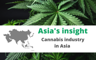 Asia’s Insights: Cannabis industry in Asia