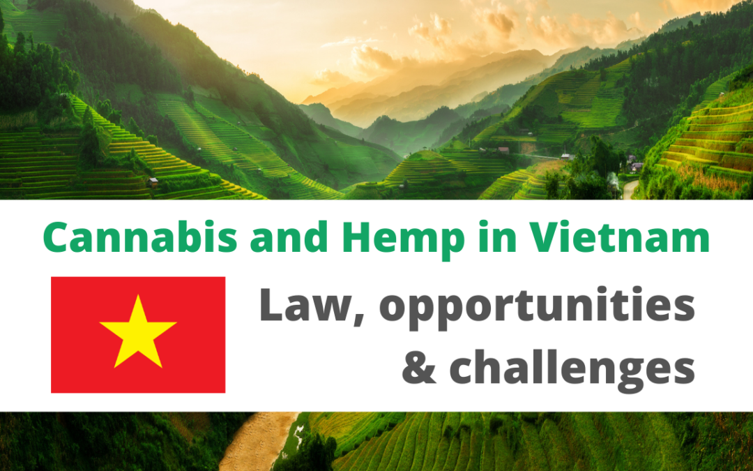 Cannabis and Hemp in Vietnam: Law, opportunities and challenges
